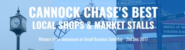 Best Chase Businesses